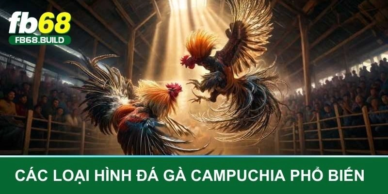 Cách tham gia đá gà Campuchia cơ bản