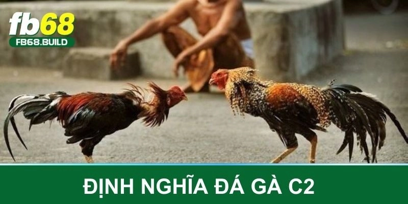 Đá gà C2 và một số điều cơ bản