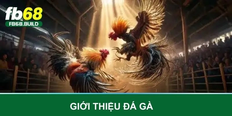 Giới thiệu đá gà