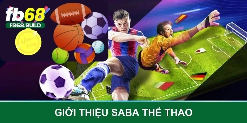 Giới thiệu Saba thể thao