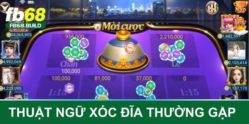 Một số thuật ngữ thường gặp trong game xóc đĩa live stream